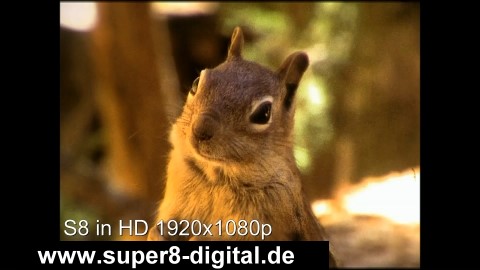 Super 8 Schmalfilm Normal8 Film digital in HD 1920 x 1080p überspielen auf DVD HDD USB.